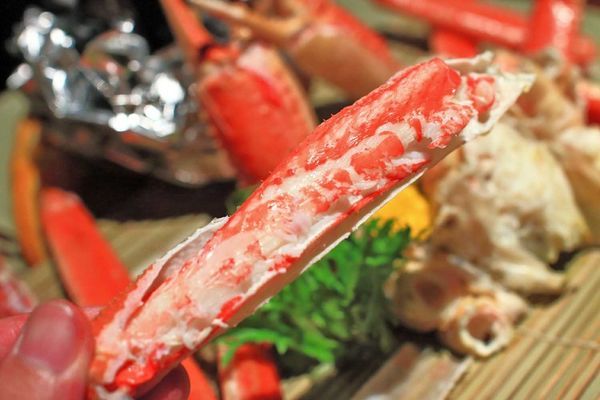 【桃園美食】森日式料理-CP值極高！超豪華日式庭園景觀餐廳