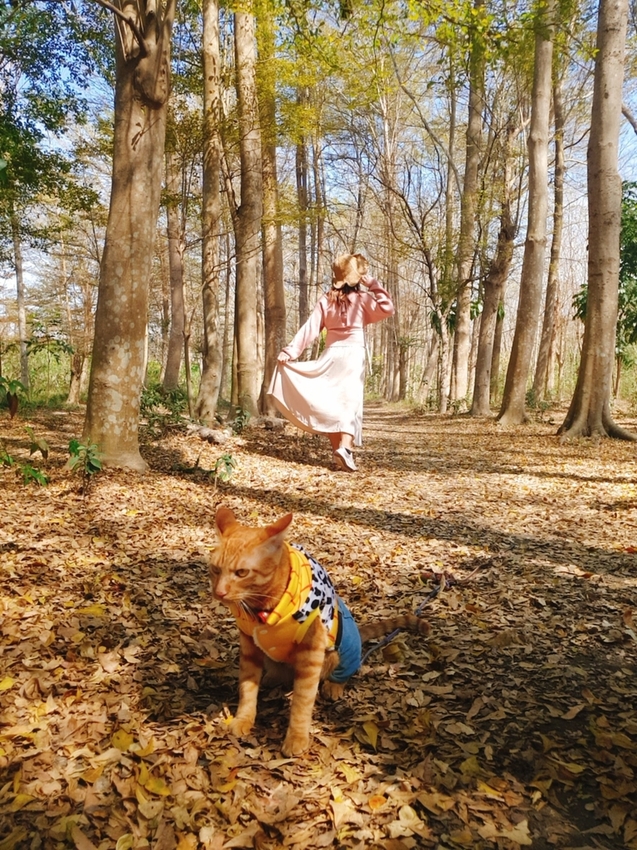 237792.jpg - 【台南.仁德】免費景點可帶寵物。虎山林場超美的樹蔭大道。拍網美照的最佳去處