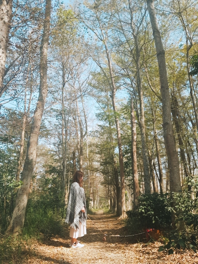 240212.jpg - 【台南.仁德】免費景點可帶寵物。虎山林場超美的樹蔭大道。拍網美照的最佳去處
