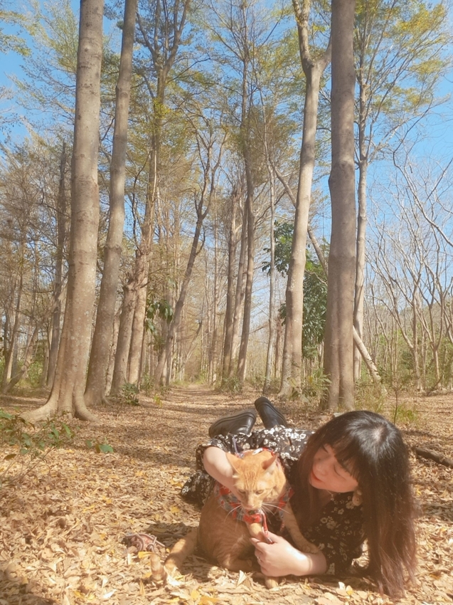 240207.jpg - 【台南.仁德】免費景點可帶寵物。虎山林場超美的樹蔭大道。拍網美照的最佳去處