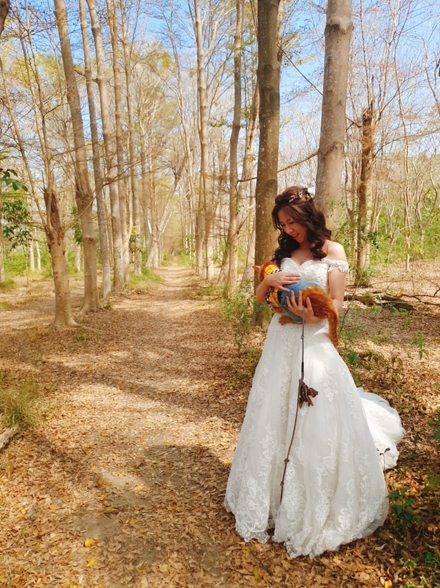 240200.jpg - 【台南.仁德】免費景點可帶寵物。虎山林場超美的樹蔭大道。拍網美照的最佳去處