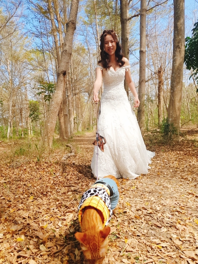 240198.jpg - 【台南.仁德】免費景點可帶寵物。虎山林場超美的樹蔭大道。拍網美照的最佳去處