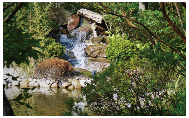 惠宇秘境森青自然共生and台中嘉明湖-9
