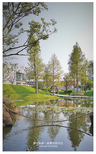 惠宇秘境森青自然共生and台中嘉明湖-4