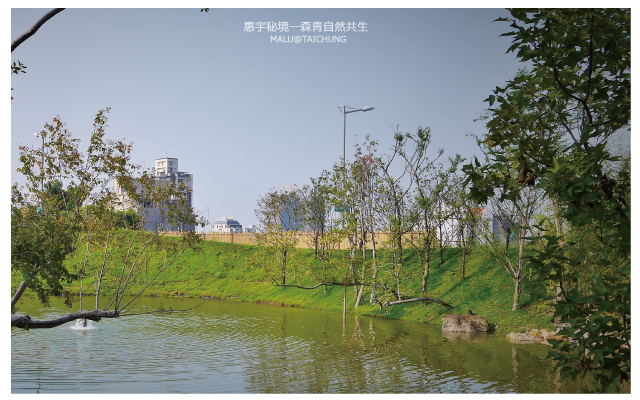 惠宇秘境森青自然共生and台中嘉明湖-8