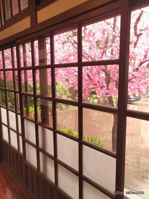 Afternoon Tea at Gen Sun Lin-Jen Residence , SJKen, Taipei, Taiwan, Dec 8, 2020.