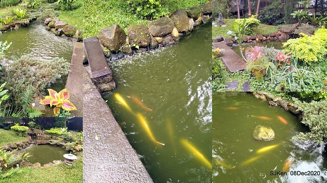 Afternoon Tea at Gen Sun Lin-Jen Residence , SJKen, Taipei, Taiwan, Dec 8, 2020.