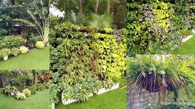 Afternoon Tea at Gen Sun Lin-Jen Residence , SJKen, Taipei, Taiwan, Dec 8, 2020.