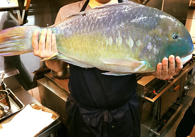 19989484_1872440893076241_4842759280471249373_n