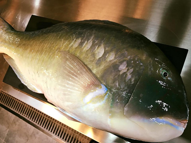 19905311_1872441189742878_277157800419466703_n