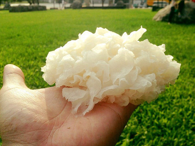 14080011_1928152010745265_3688569043904576214_n