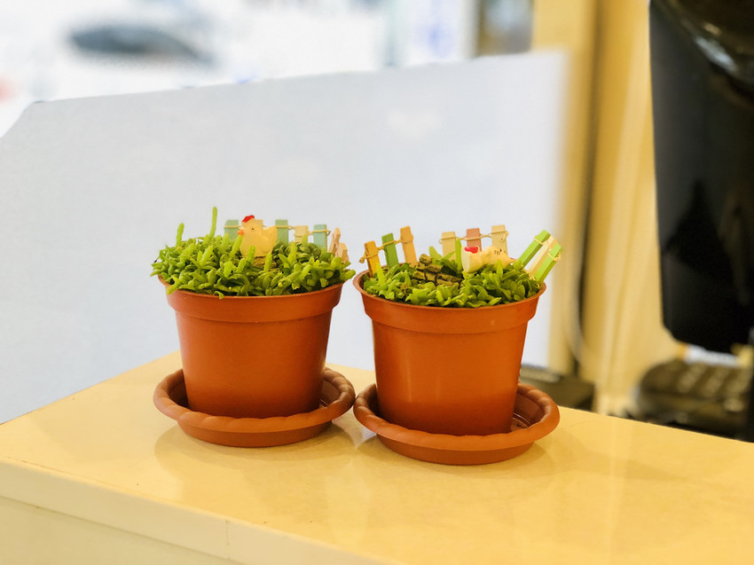 [台北南港] 潔果物語水果會說話水果入菜結合義大利麵蹦出新滋味 / 捷運後山埤 / 捷運美食