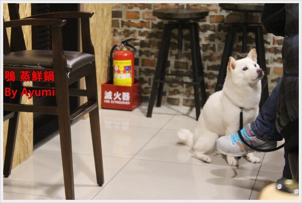 鴞 蒸鮮鍋：[食記]►桃園◄鴞 蒸鮮鍋－食材新鮮才敢用蒸的、不添加味素、個人海鮮塔，自己吃飯最Easy~