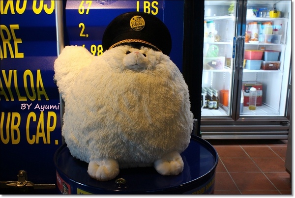 首爾之星Korean Food Express：[食記]公館韓系美食＆韓國地鐵主題餐廳－首爾之星Korean Food Express