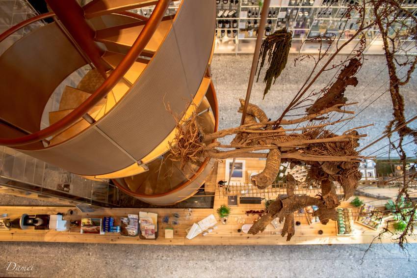 台中西屯｜分子藥局-全台最美藥局，走進質感美好生活的第一步