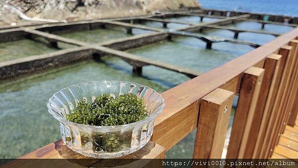 新北.貢寮-92K週末食堂一望無際的海上美景，濃郁沖繩風的海景小店，特色小點海葡萄、醃製白底仔新鮮又美味
