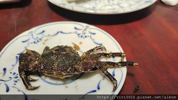 新北.貢寮-92K週末食堂一望無際的海上美景，濃郁沖繩風的海景小店，特色小點海葡萄、醃製白底仔新鮮又美味