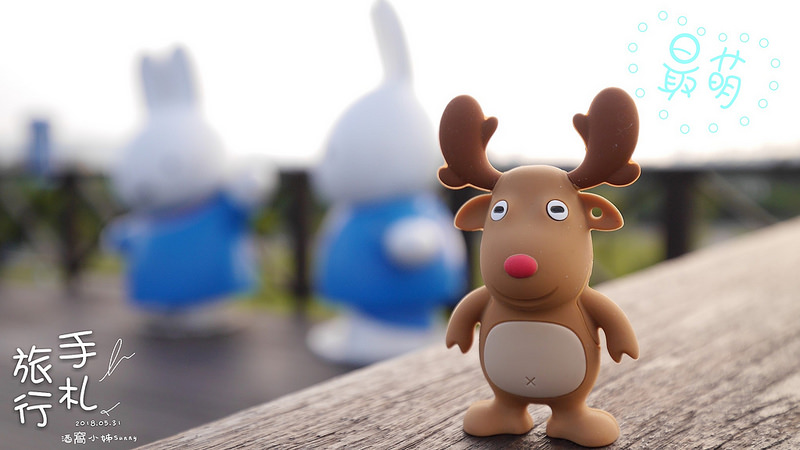 酒窩小姊旅行日記(新北市米菲公園)