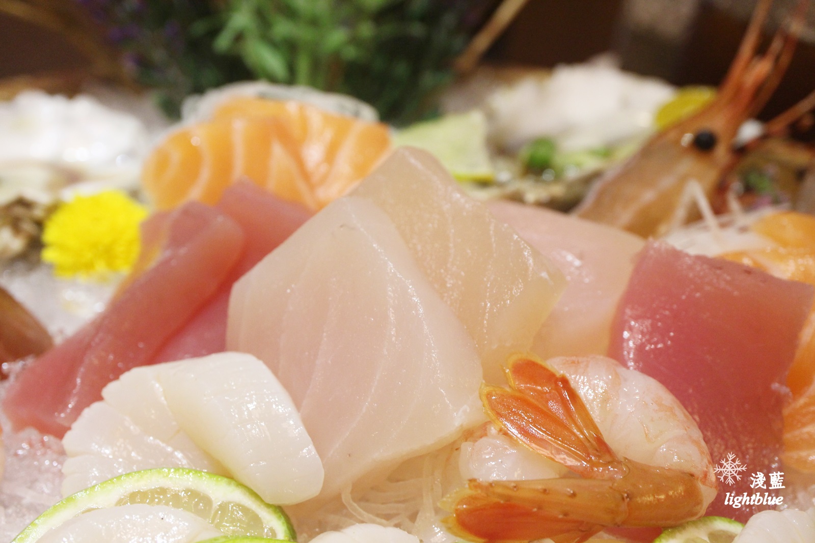 [ 松江南京站美食 ] 淺藍 × 婧shabu～超值獨享鍋有800g肉盤跟滿滿海鮮，小鳥胃不要試