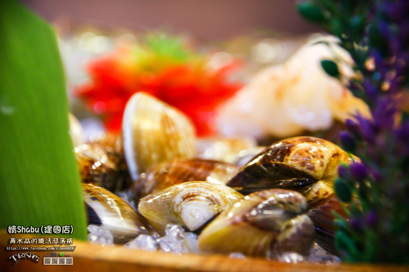 婧Shabu火鍋建國店【中山火鍋】