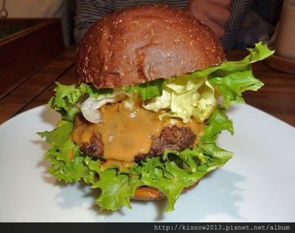 璐露野49-小漢堡.JPG