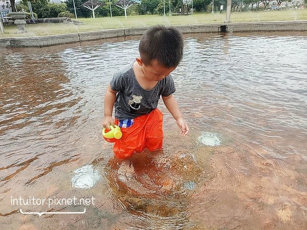 雞腿寶玩水內湖運動公園12.jpg