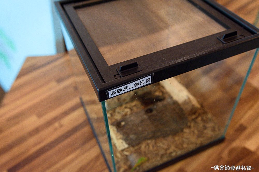 新竹關西景點》宏晟菇業休閒園區 LOVE草原咖啡下午茶 親子沙坑戲水遊樂趣 - 滿分的旅遊札記