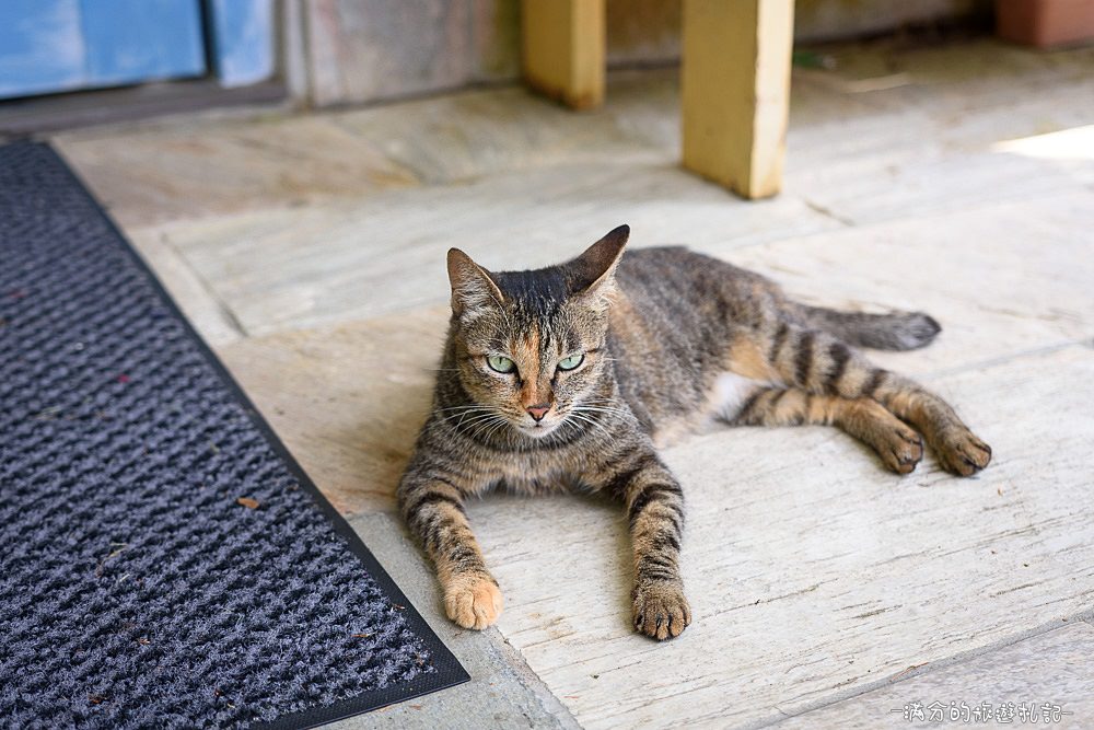 新竹關西景點》宏晟菇業休閒園區 LOVE草原咖啡下午茶 親子沙坑戲水遊樂趣 - 滿分的旅遊札記