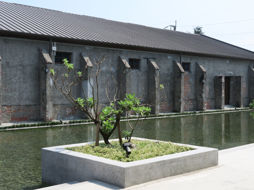 IMG_7125.JPG IMG_7125.JPG