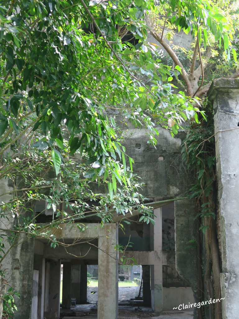 IMG_7034.JPG IMG_7034.JPG