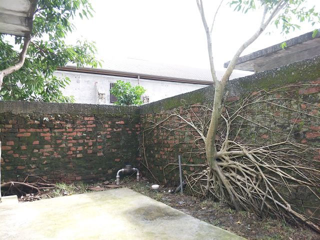 中興文創園區37