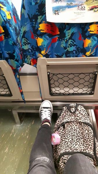 15978569_120300001571798536_879174708_n