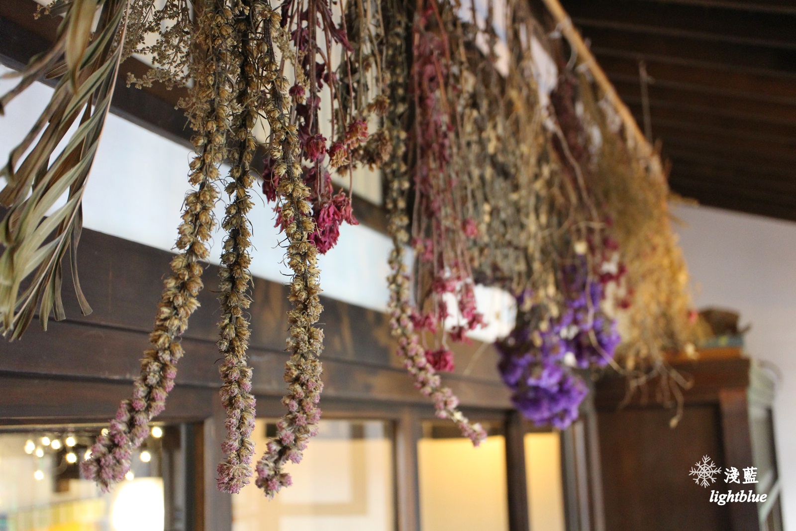 宜蘭美食：淺藍 × 賣捌所 UriSabakisho～宜蘭文青必訪日式老屋咖啡與藝文展演空間