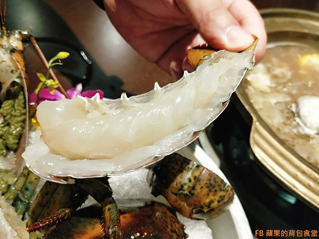 [食記] 苗栗竹南 - 連紀六今鍋物 海陸雙贏的超值饗宴 波士頓龍蝦活跳跳 A5黑毛和牛 安格斯黑牛入口即化 苗栗美食 苗栗火鍋