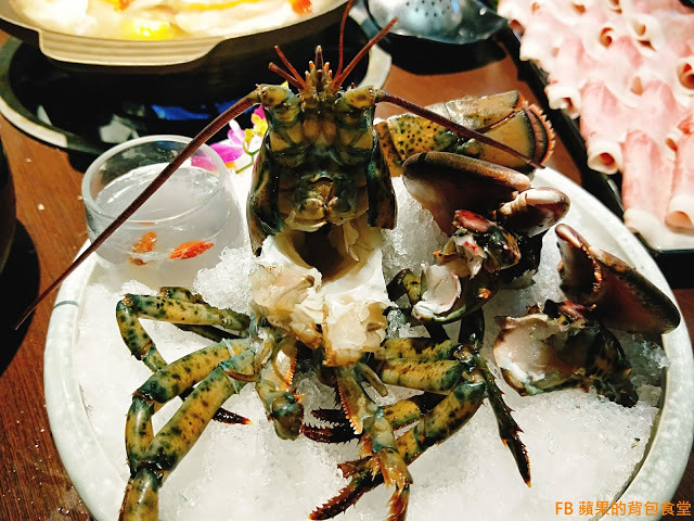 [食記] 苗栗竹南 - 連紀六今鍋物 海陸雙贏的超值饗宴 波士頓龍蝦活跳跳 A5黑毛和牛 安格斯黑牛入口即化 苗栗美食 苗栗火鍋