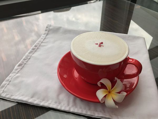 16707494_1853444808260958_3611916046864549734_o