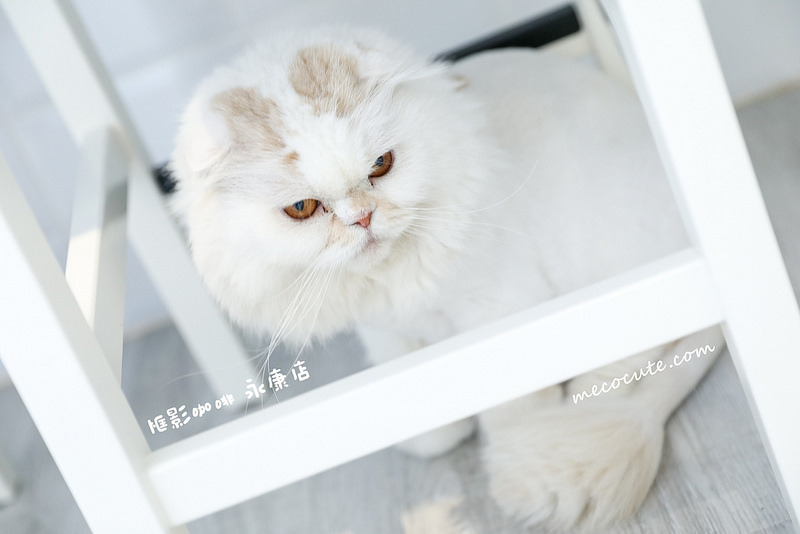 框影咖啡永康店 @陳小可的吃喝玩樂