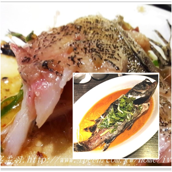 紅磡新飲茶:《捷運中山站港式飲茶》 港式點心料理正點,美味嚐鮮的好去處-『紅磡新飲茶』