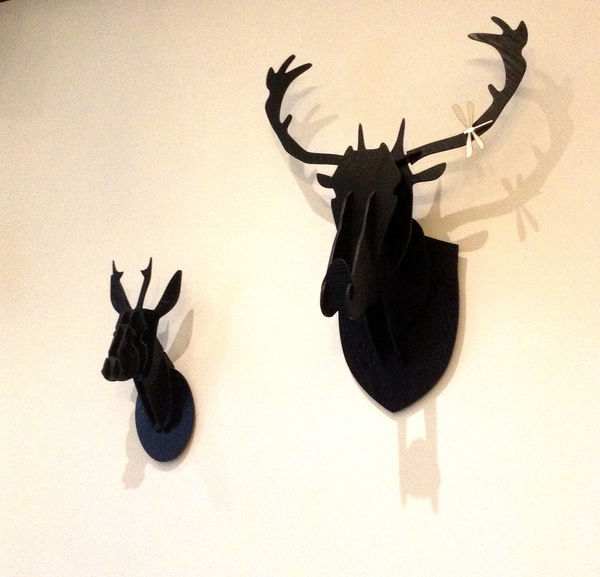 2015-02-14 17.19.56.jpg