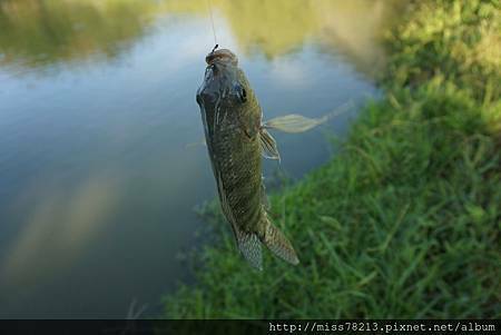 推薦台東露營的地方綺麗歌詩露營園區金剛山下消暑露營體驗射箭、釣魚、划船、玩溪水