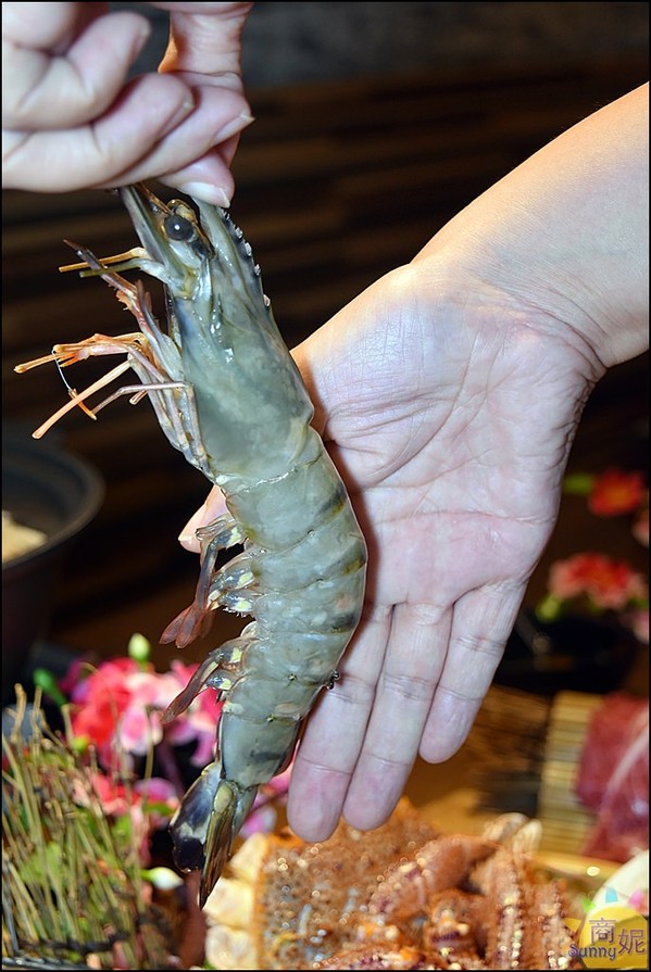 水森水產：【鍋物特輯】台中高CP值鮮活海鮮鍋物。水森水產。食材高檔價位不貴無敵新鮮老饕最愛!
