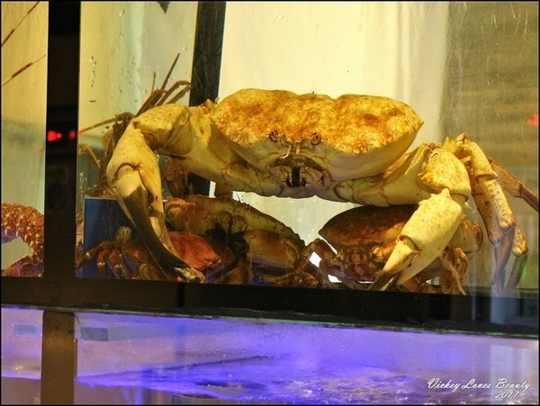 【水森水產】頂級霸氣爐端燒套餐 