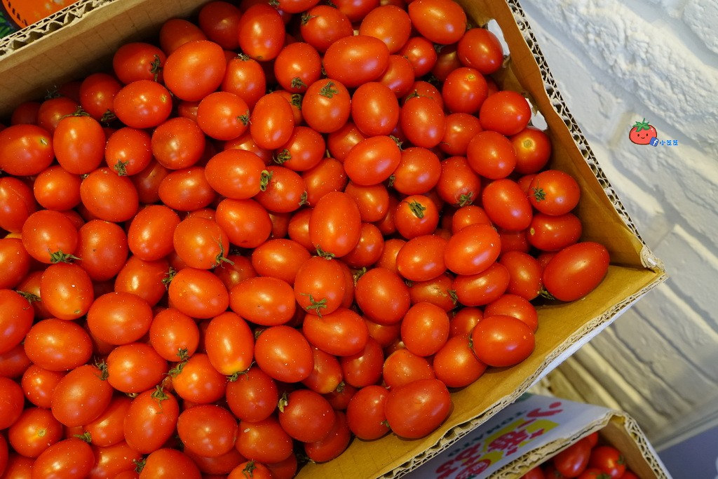 台北麻谷茶坊MACU 飲料店 手搖杯