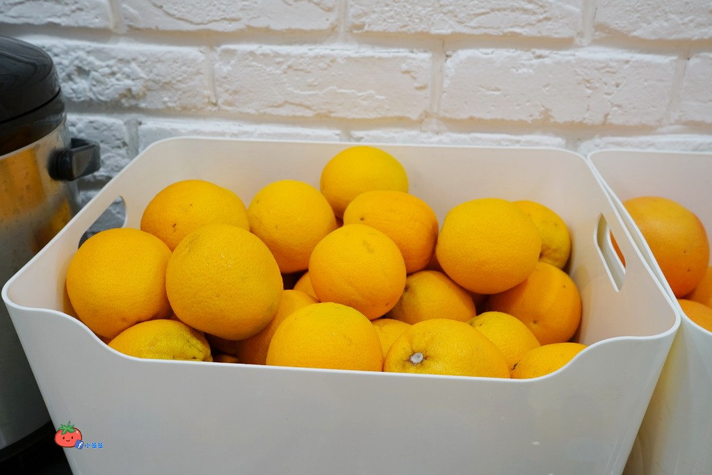 台北麻谷茶坊MACU 飲料店 手搖杯