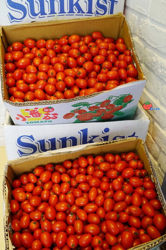 台北麻谷茶坊MACU 飲料店 手搖杯