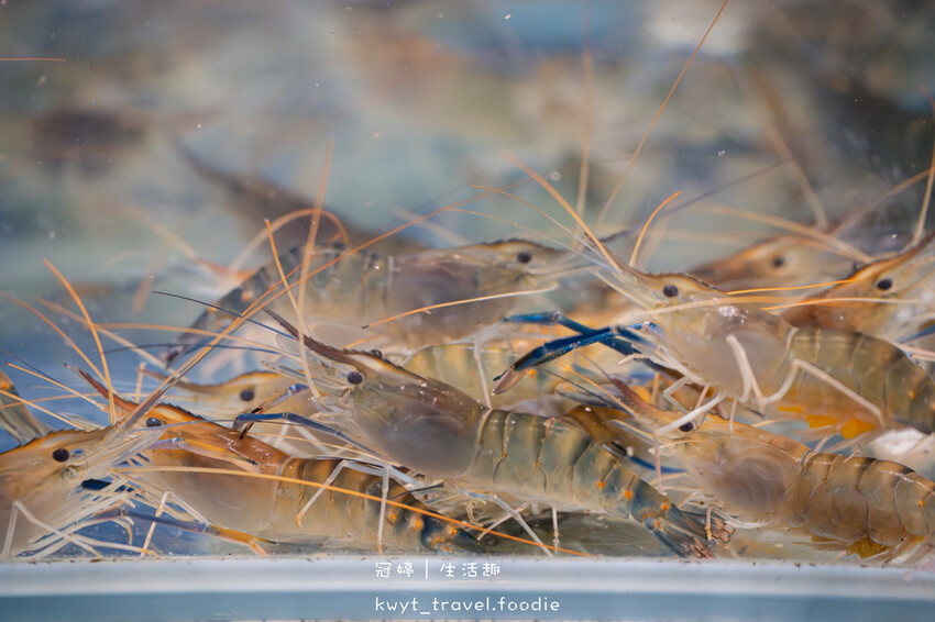 【巴士底家串燒】泰國蝦免費撈!西屯宵夜,活跳跳泰國蝦好鱻,噴