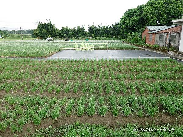 韭是愛你-陳五常宗祠 (1)23.jpg