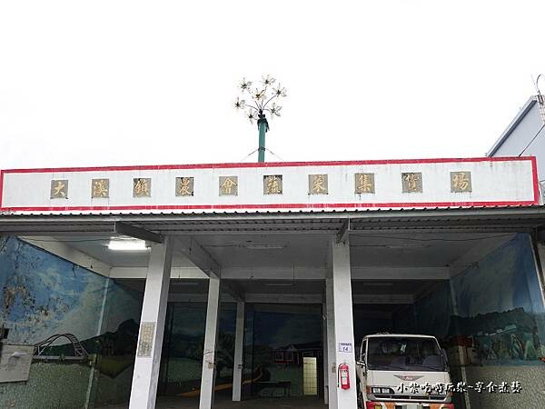 2022大溪農會蔬菜集貨場 (2).jpg