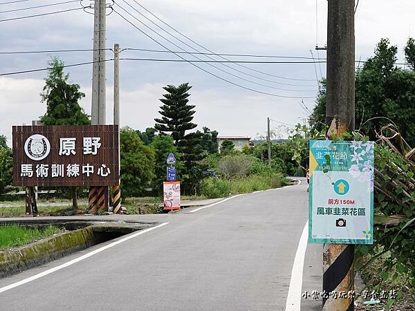 馬術中心到風車花田距離.jpg