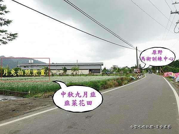 2022中秋九月拍照花田 (2).jpg